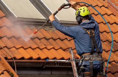 Démoussage et hydrofuge de toiture à Varacieux